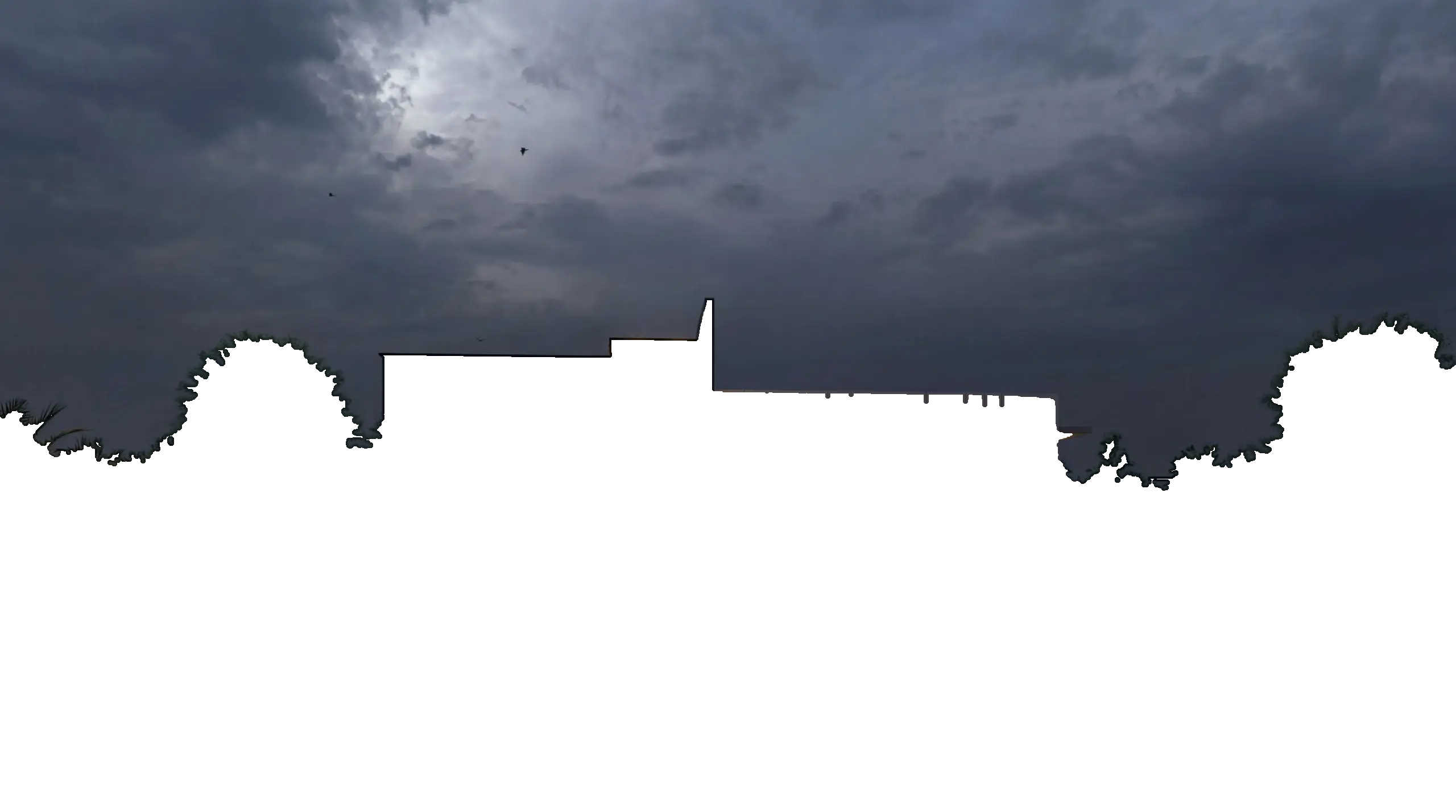 Zenesis Architecture Night